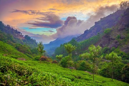 Top Hidden Destinations Near Mangalore for Nature Lovers